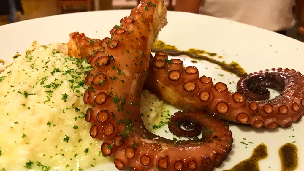 1ed85491c4878b4d800201332e687aa4