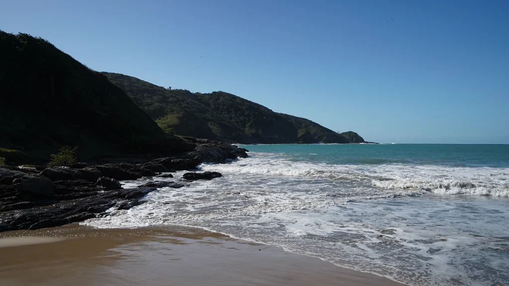 e336ea5f683c3b597e2c5ac28953fc2c